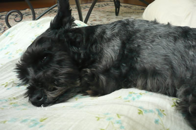 090413_5.jpg