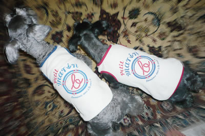 090909_1.jpg