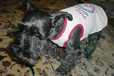 090909_3.jpg