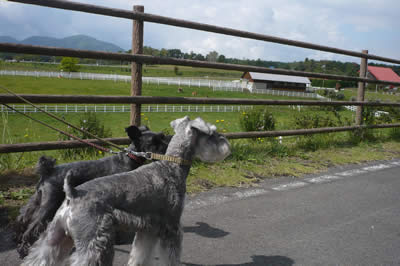 090915_1.jpg