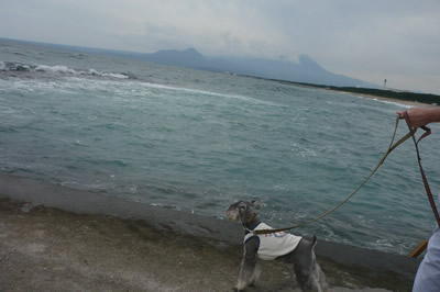 090915_10.jpg