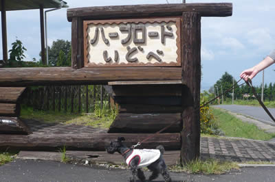 090915_11.jpg