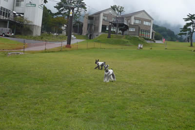 090915_9.jpg