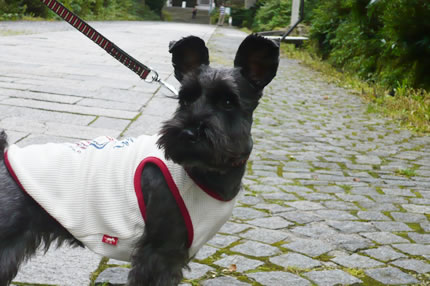 090929_c.jpg