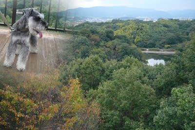 091002_6.jpg
