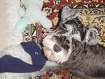 200609_oreo_2.jpg