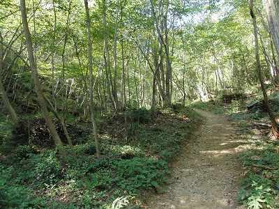 CIMG0092.jpg