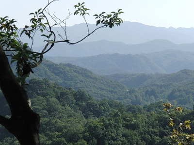 CIMG0093.jpg