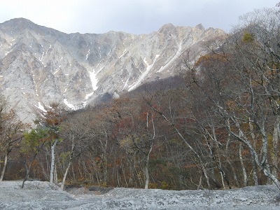 CIMG0146.jpg
