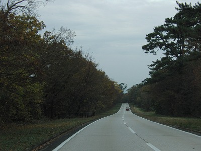 CIMG0210.jpg