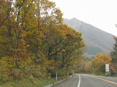 CIMG0231.jpg