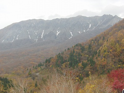 CIMG0245.jpg