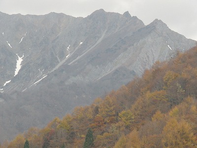 CIMG0246.jpg