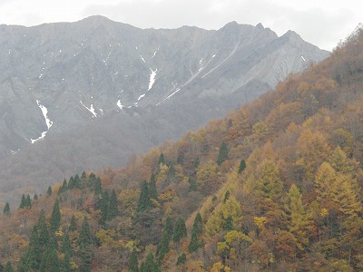CIMG0247.jpg