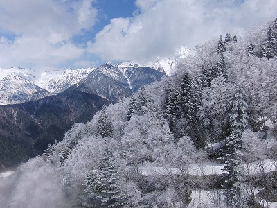 CIMG0388.jpg