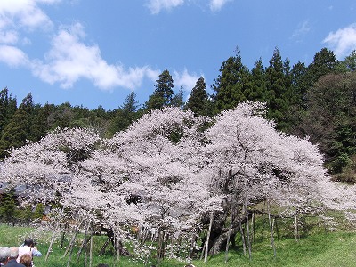 CIMG0465.jpg