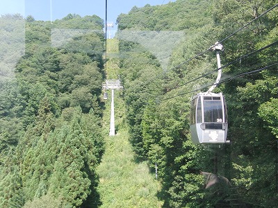 CIMG0564.jpg