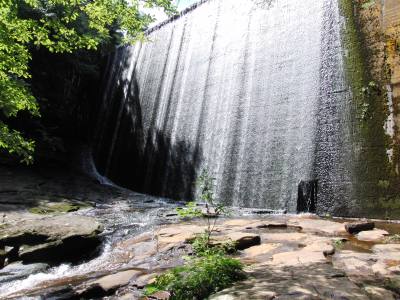 CIMG0619.jpg