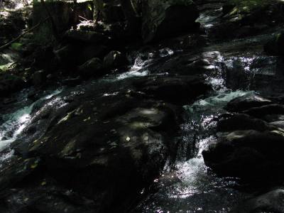 CIMG0620.jpg