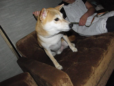 CIMG0640.jpg