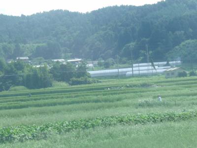 CIMG0658.jpg