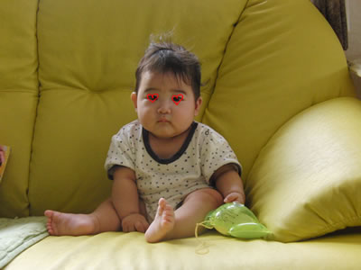 CIMG0666.jpg