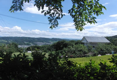 CIMG0671.jpg