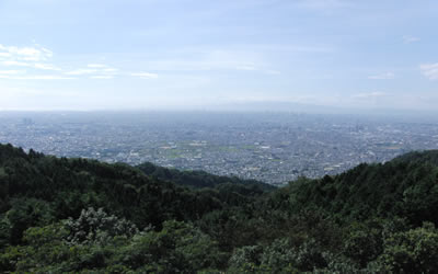 CIMG0674.jpg