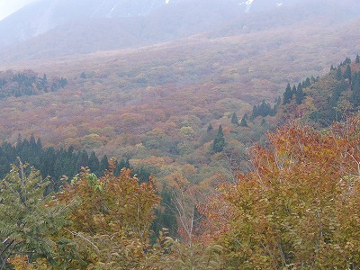 CIMG0685.jpg