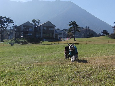 CIMG0720.jpg