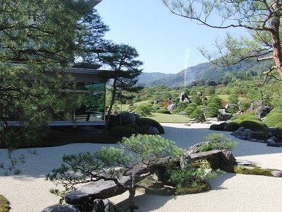 CIMG0724.jpg