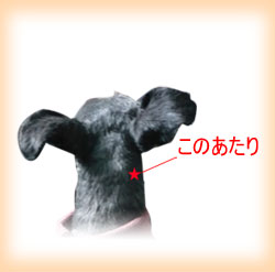 konoatari.jpg