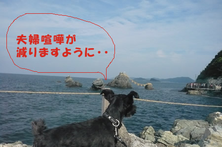 meoto.jpg